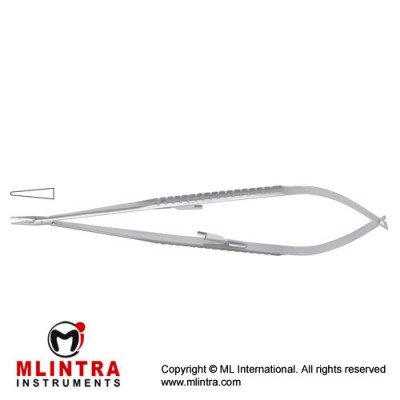Micro Needle Holder Straight - With Lock Stainless Steel, 21 cm - 8 1/4"